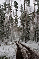 Фото УАЗ кубок Партизан экстрим 0727.jpg