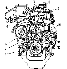 Двигатель 4215.10 вид спереди